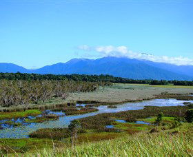 Eubenangee Swamp National Park - Accommodation Batemans Bay 0