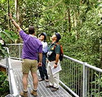 Daintree Discovery Centre - Accommodation Batemans Bay