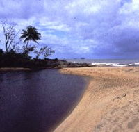 Russell River National Park - Accommodation Batemans Bay