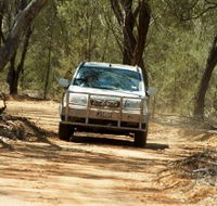 Ward River 4x4 Stock Route Trail - Accommodation Batemans Bay