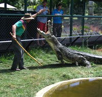 Snakes Downunder Reptile Park and Zoo - Accommodation Batemans Bay