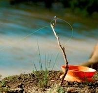 Charleville - Mangalore Warrego River Fishing Spot - Accommodation Batemans Bay