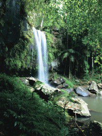 Curtis Falls, Joalah Section - Accommodation Batemans Bay 0