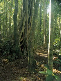  Accommodation Batemans Bay