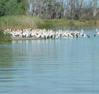 Lake Ross - Accommodation Batemans Bay