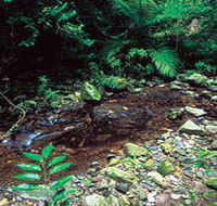 Wompoo Walk - Accommodation Batemans Bay