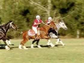 Morgan Park - Accommodation Batemans Bay 0