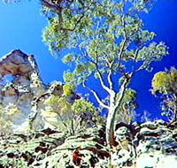 Mount Moffatt Section - Carnarvon National Park - Accommodation Batemans Bay