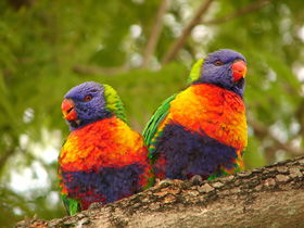 Blue Mountain Park - Accommodation Batemans Bay 0