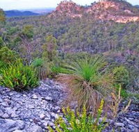 Isla Gorge National Park - Accommodation Batemans Bay