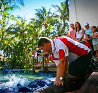 The Living Reef on Daydream Island - Accommodation Batemans Bay