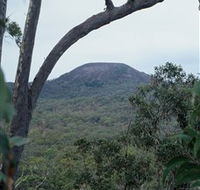 Mount Fox - Accommodation Batemans Bay