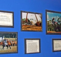 Town Hall Photographic Display - Accommodation Batemans Bay