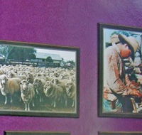 Charleville Photographic Display - Accommodation Batemans Bay