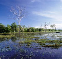 Tyto Wetlands - Accommodation Batemans Bay