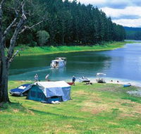 Danbulla National Park and Danbulla State Forest - Accommodation Batemans Bay