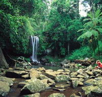 Tamborine National Park - Accommodation Batemans Bay