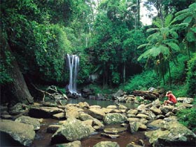 Tamborine National Park - Accommodation Batemans Bay 0