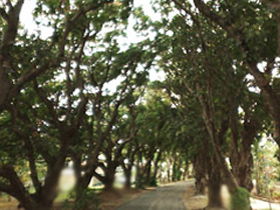 Eimeo QLD Accommodation Batemans Bay