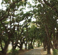 Mango Avenue - Accommodation Batemans Bay