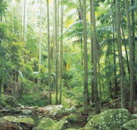 Python Rock - Accommodation Batemans Bay