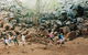 Undara Volcanic National Park - thumb 0