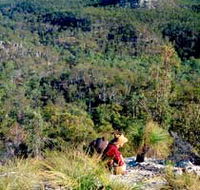 Expedition National Park - Accommodation Batemans Bay