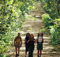 Wet Tropics Great Walk - Accommodation Batemans Bay