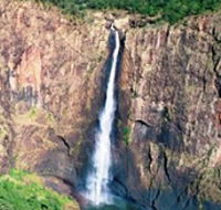 Buujan Quiinbiira Walk Wet Tropics Great Walk - Accommodation Batemans Bay