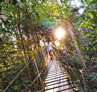 Tree Top Walkway - Accommodation Batemans Bay