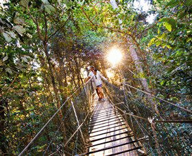 Tree Top Walkway - Accommodation Batemans Bay 0
