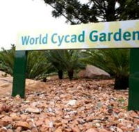 Anderson Park Botanic Gardens - Accommodation Batemans Bay