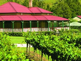 OReillys Canungra Valley Vineyards - Accommodation Batemans Bay 0