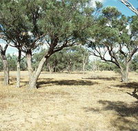 Forest Den National Park - Accommodation Batemans Bay
