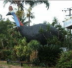 The Big Cassowary - Accommodation Batemans Bay