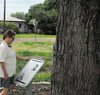 Augathella Kenniff Tree - Accommodation Batemans Bay