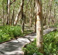 The Kommo Toera Trail - Accommodation Batemans Bay