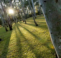 Tondoon Botanic Gardens - Accommodation Batemans Bay