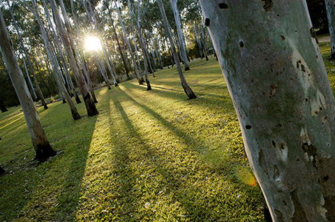 Tondoon Botanic Gardens - Accommodation Batemans Bay 0