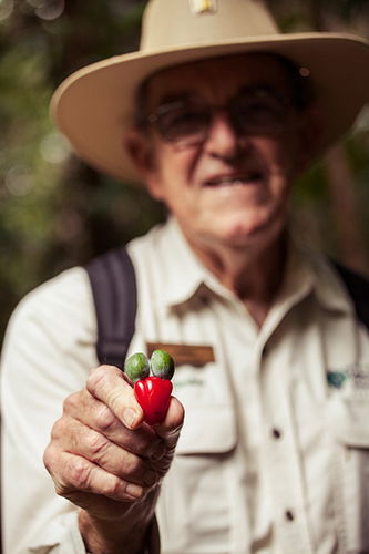 Tondoon Botanic Gardens - Accommodation Batemans Bay 1