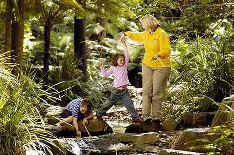 Tondoon Botanic Gardens - Accommodation Batemans Bay 2