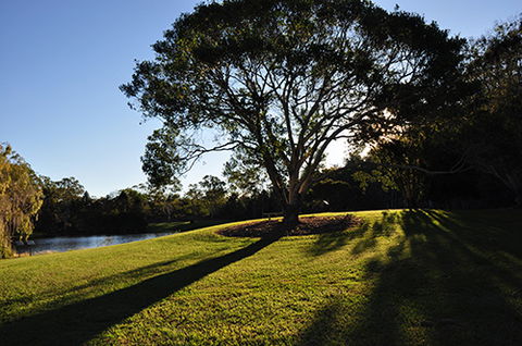 Tondoon Botanic Gardens - Accommodation Batemans Bay 4