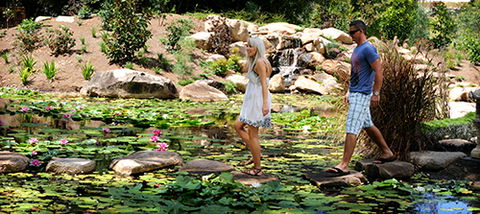 Tondoon Botanic Gardens - Accommodation Batemans Bay 7