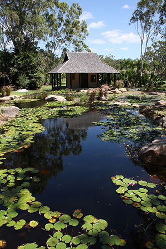 Tondoon Botanic Gardens - Accommodation Batemans Bay 8