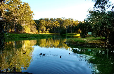 Tondoon Botanic Gardens - Accommodation Batemans Bay 9