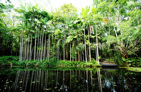 Tondoon Botanic Gardens - Accommodation Batemans Bay 11