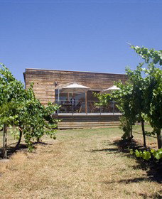 Shantell Vineyard - Accommodation Batemans Bay 0