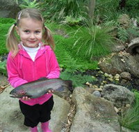 Wild Food Farm  Cafe - Accommodation Batemans Bay