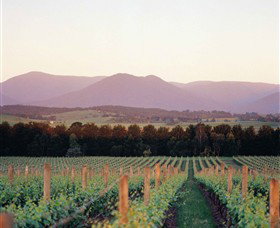 Domaine Chandon - Accommodation Batemans Bay 0