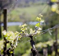 Downing Estate - Accommodation Batemans Bay